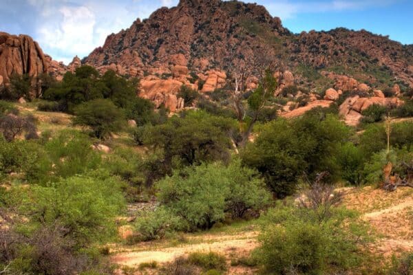 Redwood Minerals LLC - Montego Miners | Provident 1031